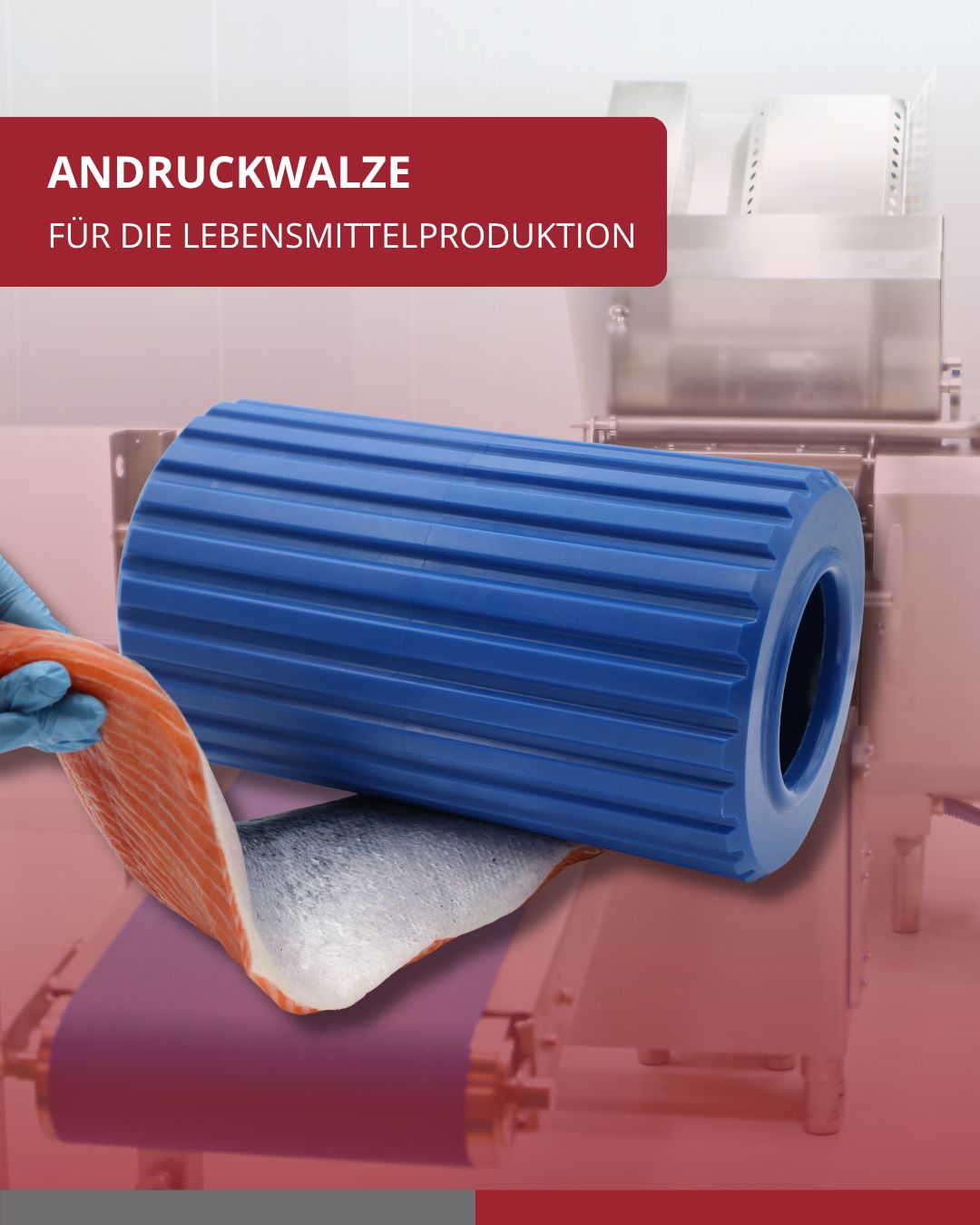 INTERNORM Kunststofftechnik GmbH ad