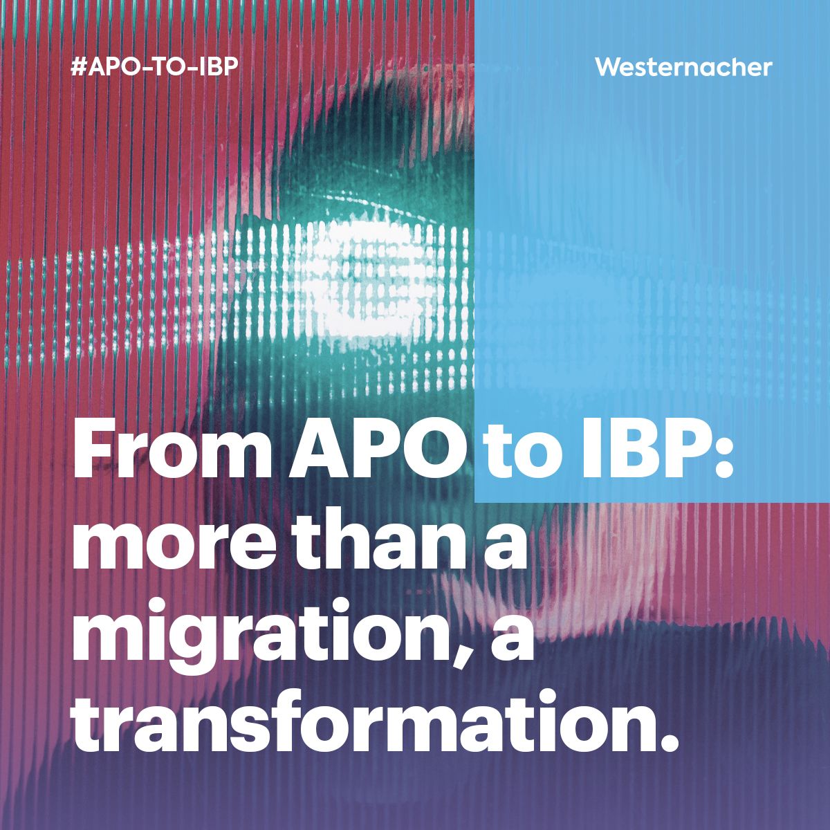 Westernacher Consulting ad