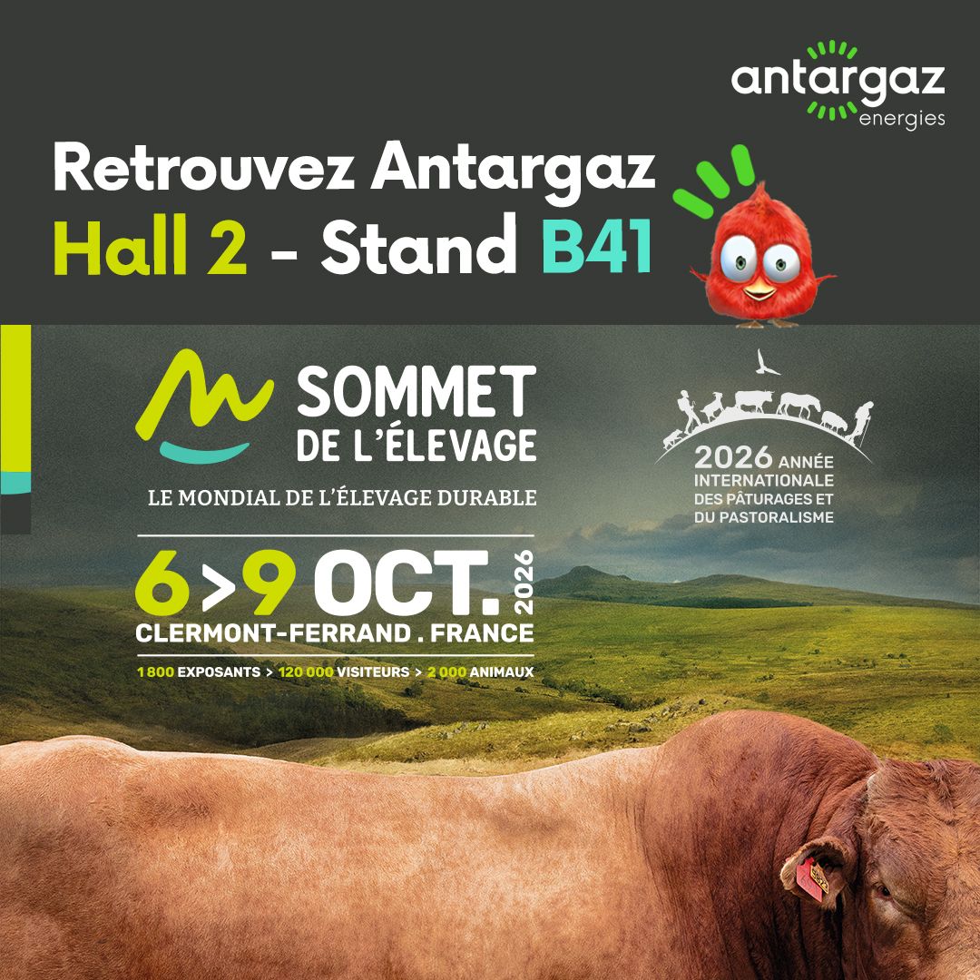 ANTARGAZ ad