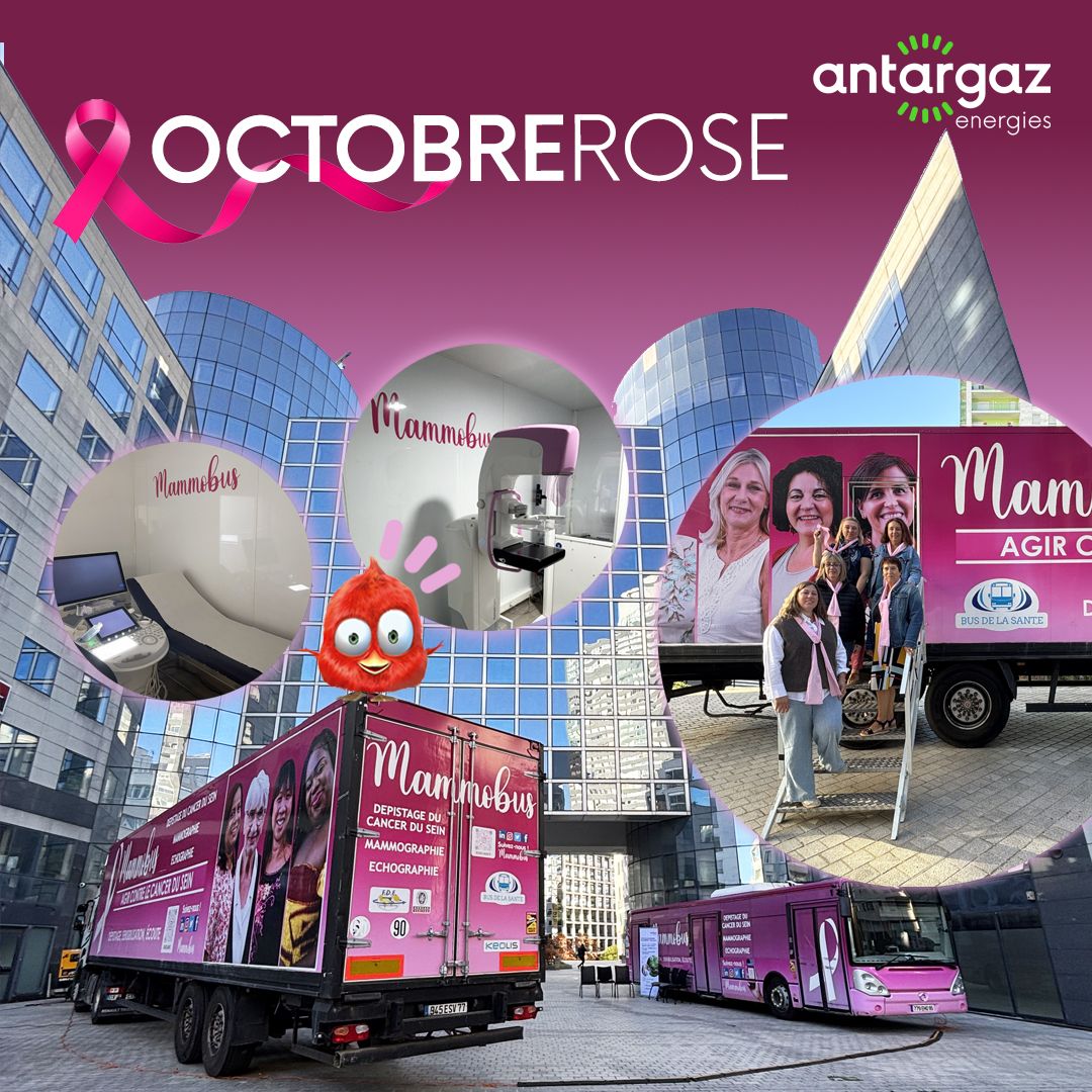 ANTARGAZ ad