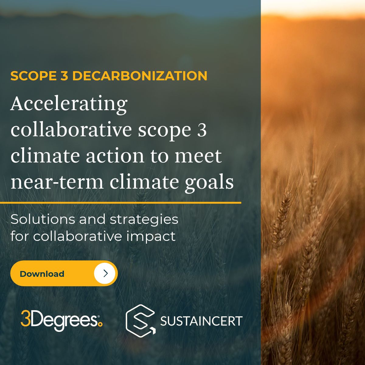 3Degrees Group, Inc. ad