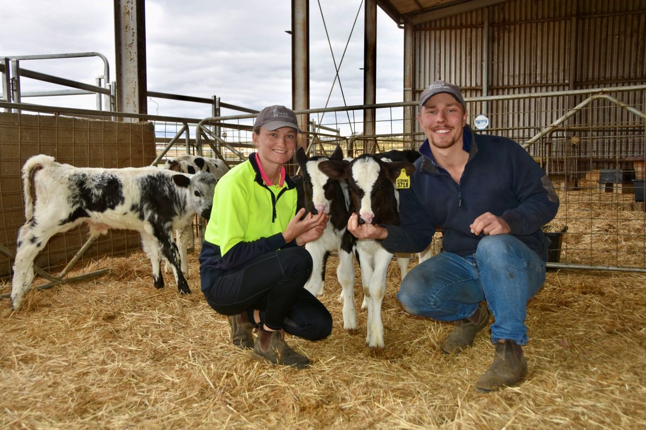 Dairy Australia ad