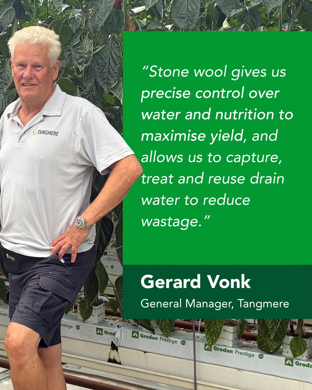 Grodan ad