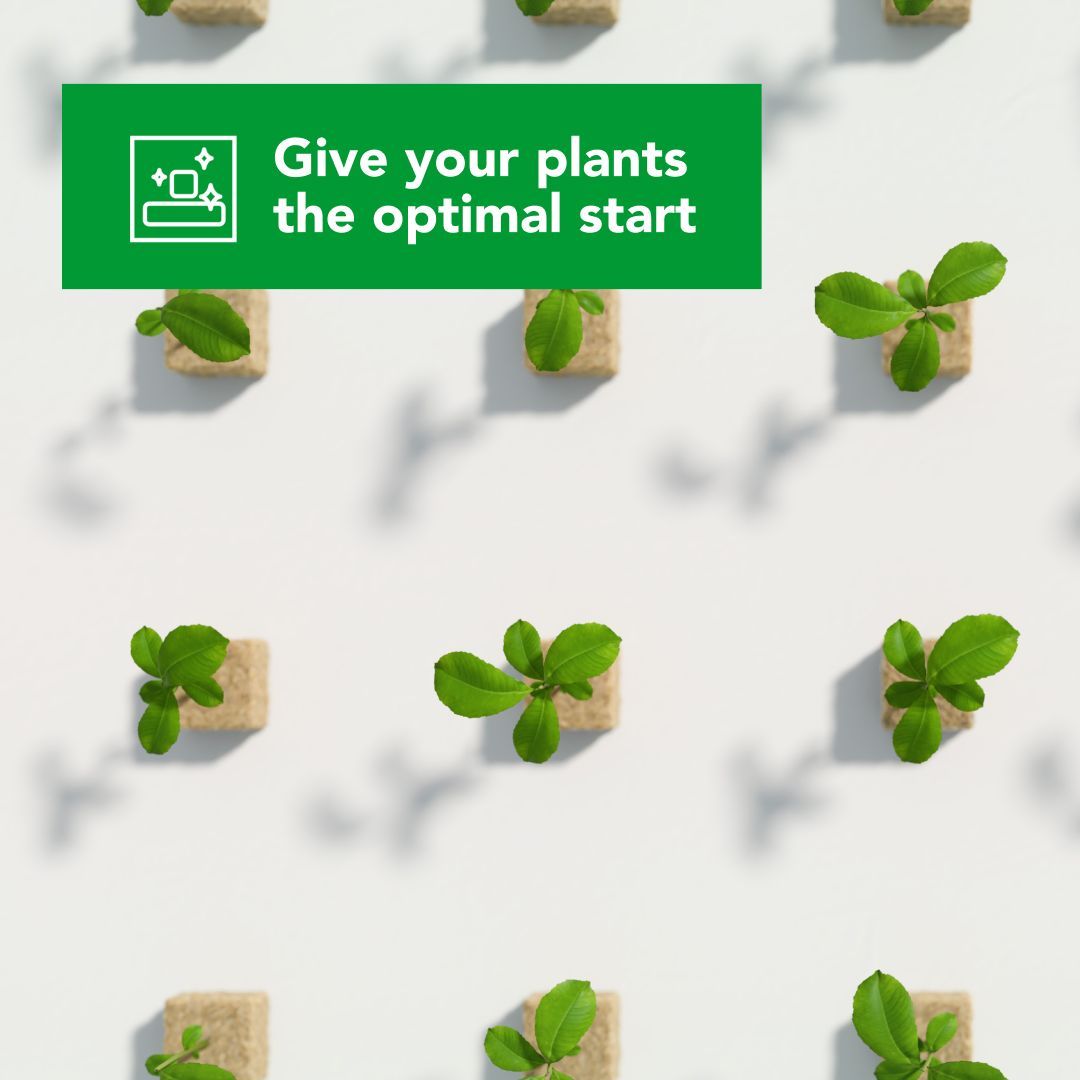 Grodan ad