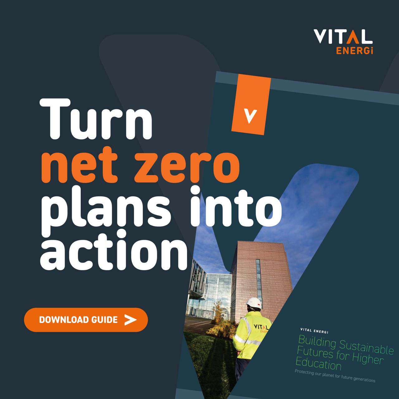 Vital Energi ad