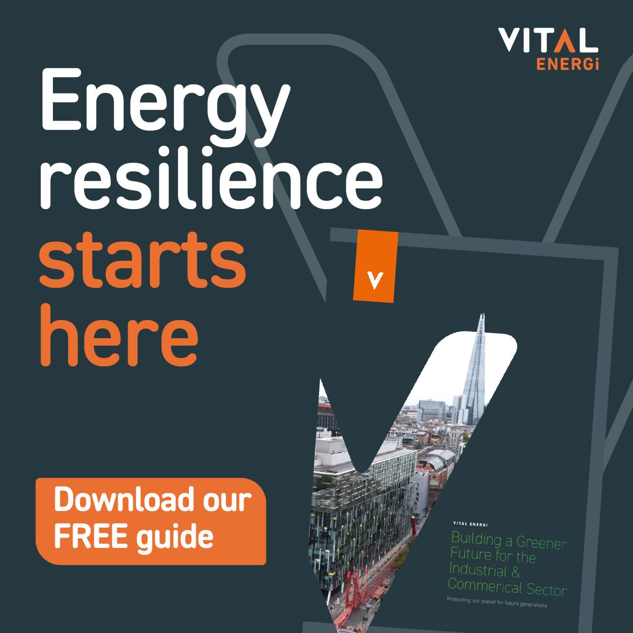 Vital Energi ad