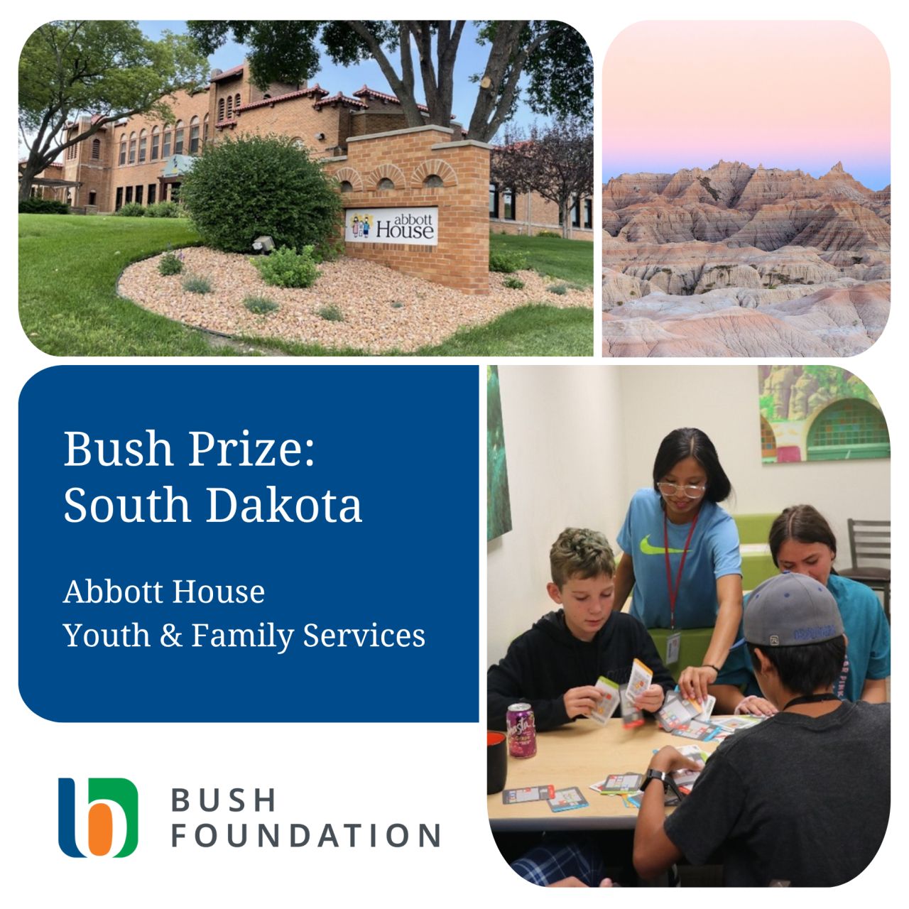 Bush Foundation ad
