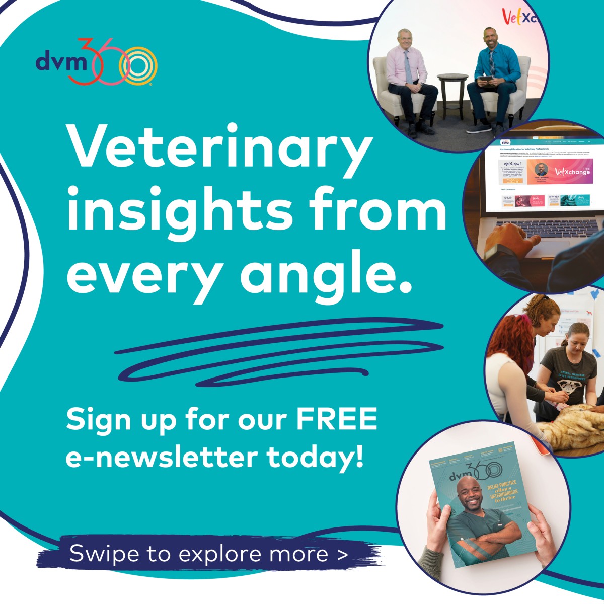 dvm360® ad
