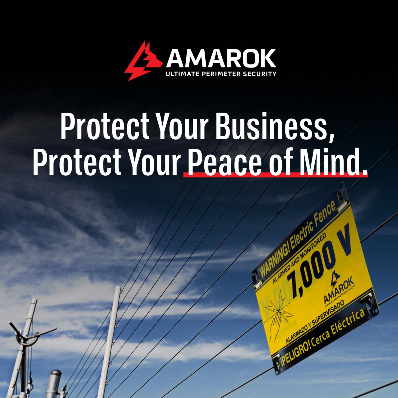 AMAROK Security ad