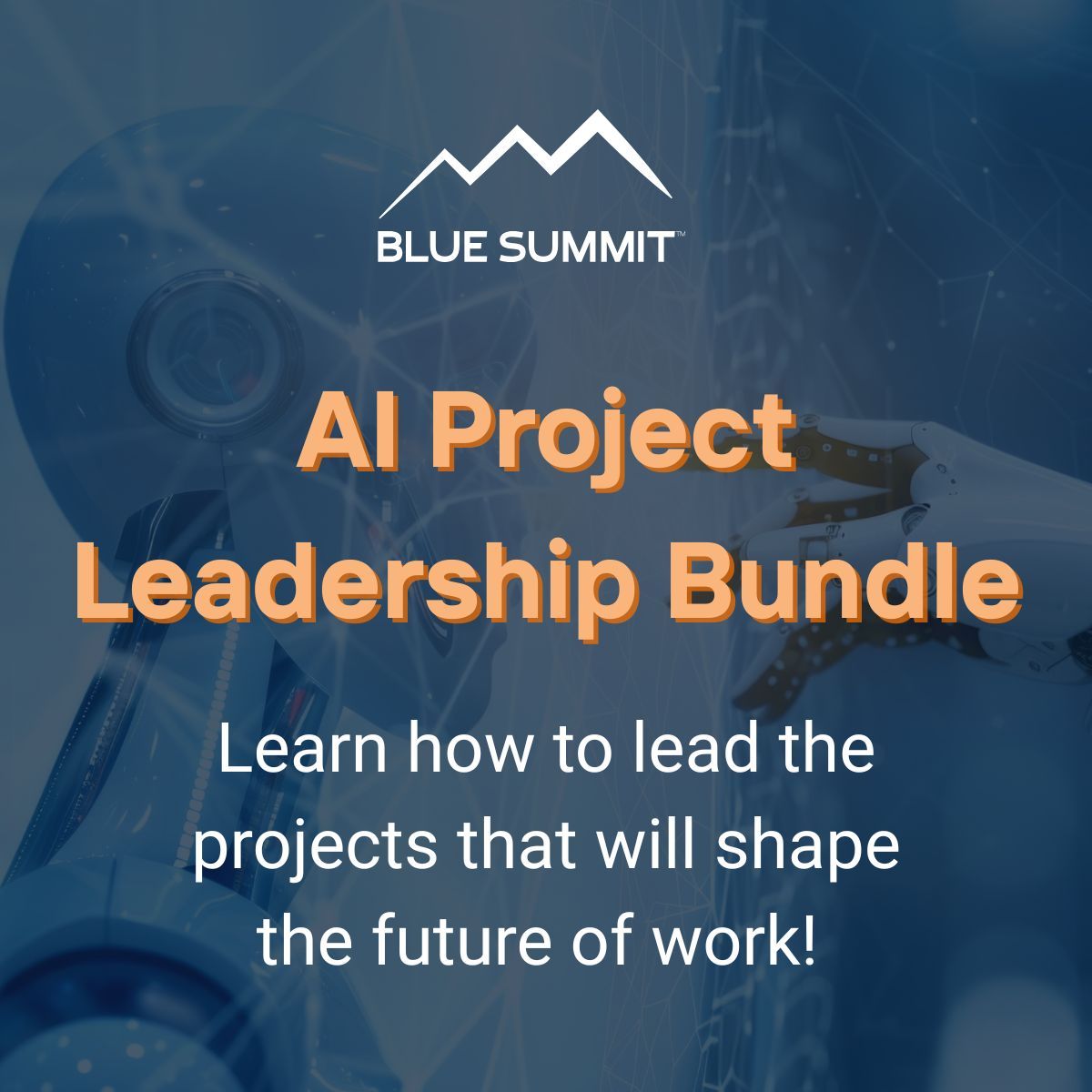 Blue Summit ad