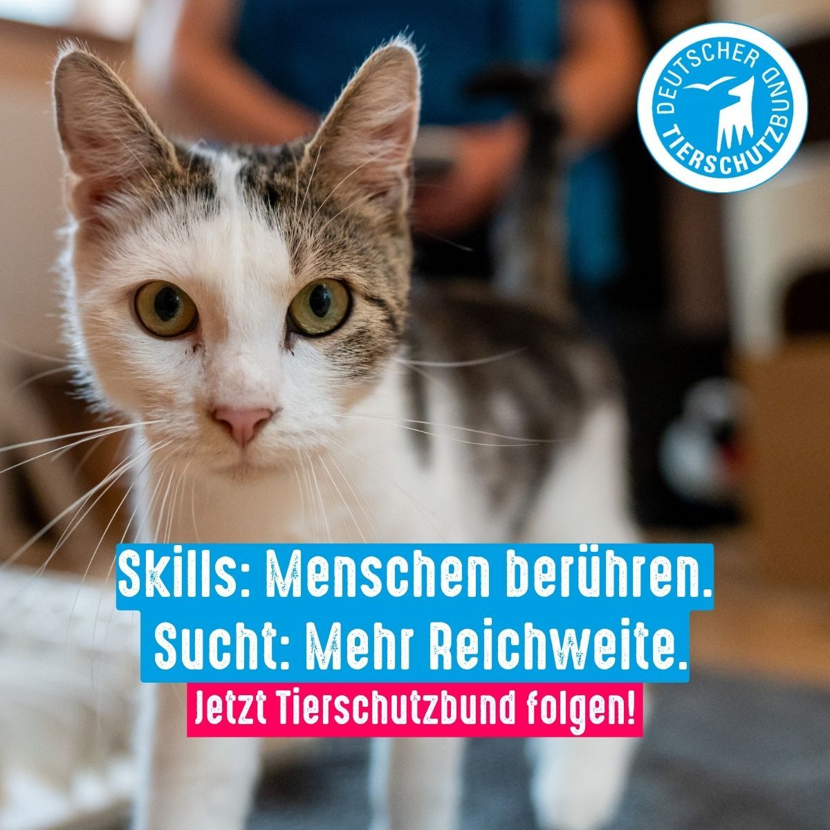 German Animal Welfare Federation ad