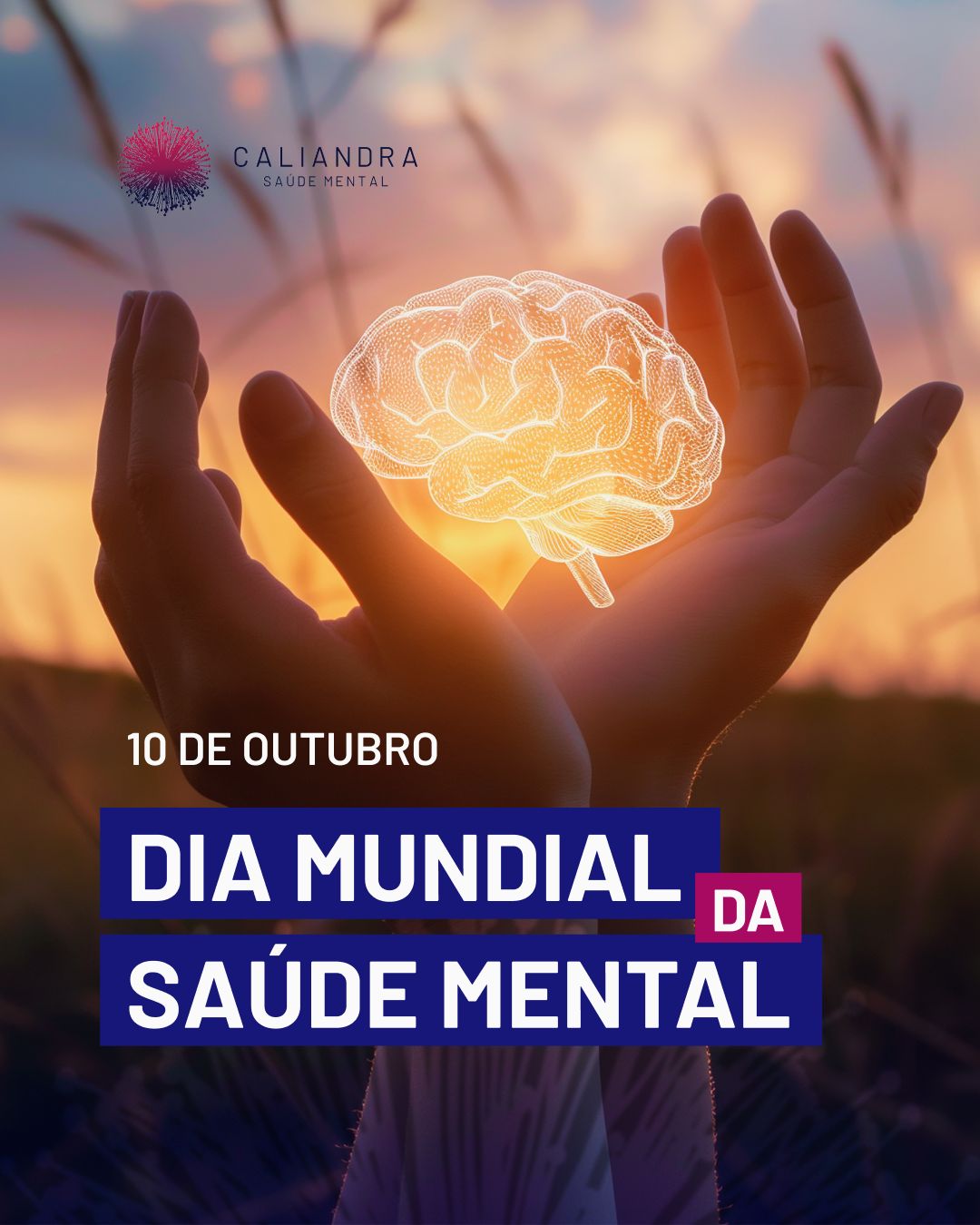 Caliandra - Saúde Mental ad