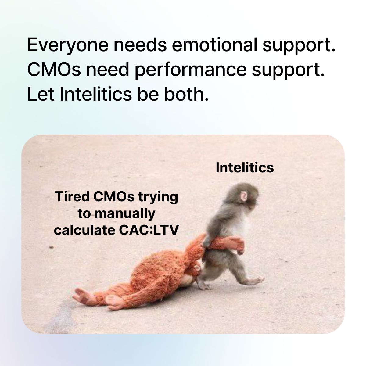 Intelitics Software ad