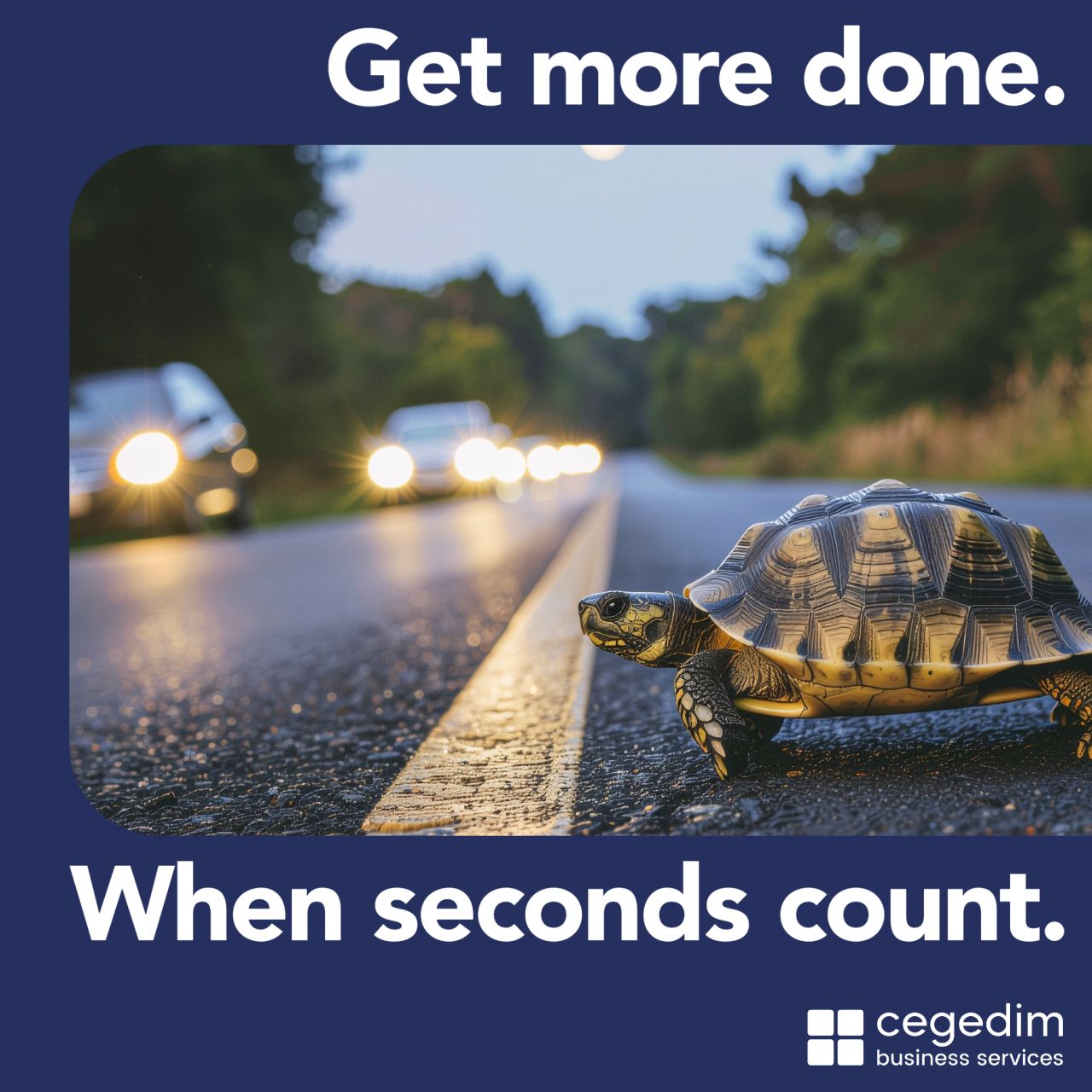 Cegedim Business Services UK ad