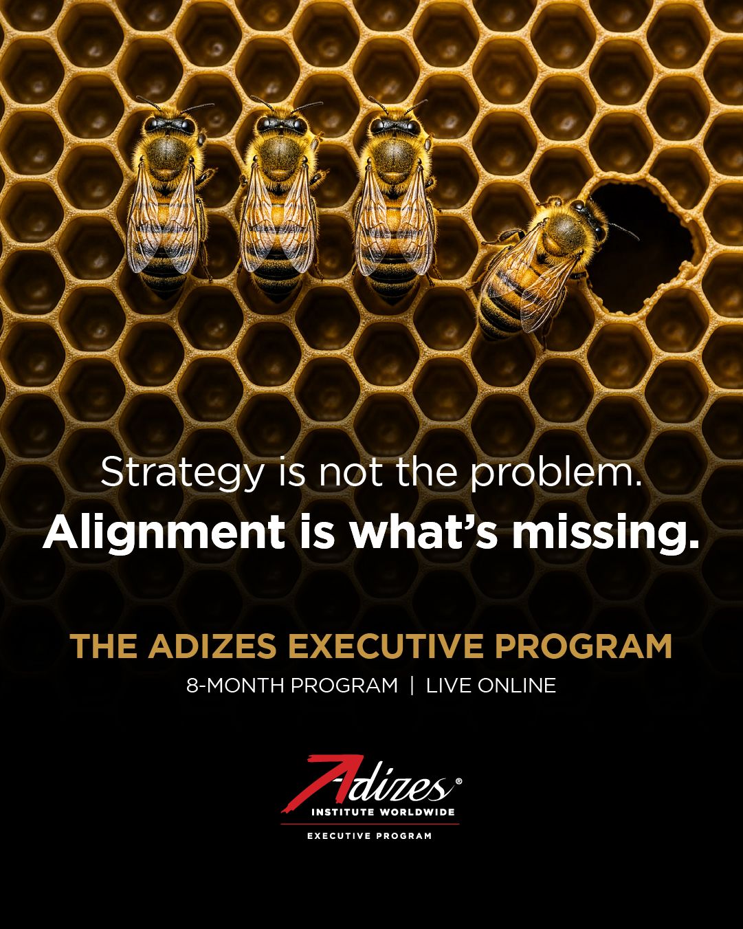 Adizes Institute Worldwide ad