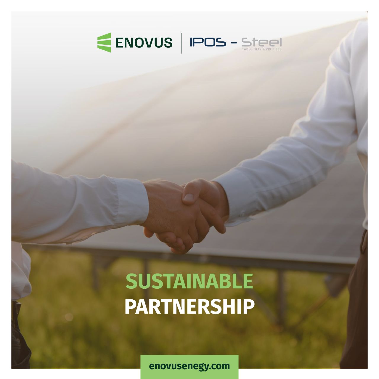 Enovus ad