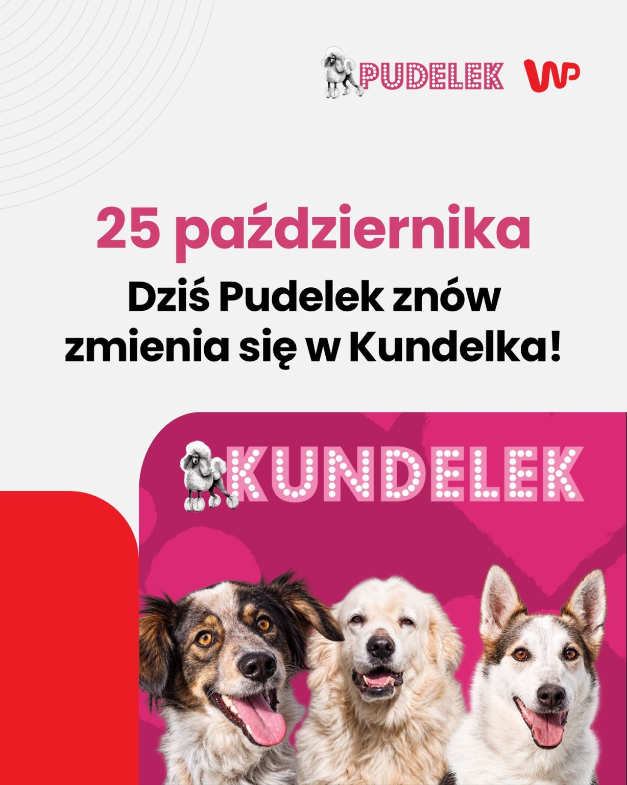 Biuro Reklamy WP Media ad