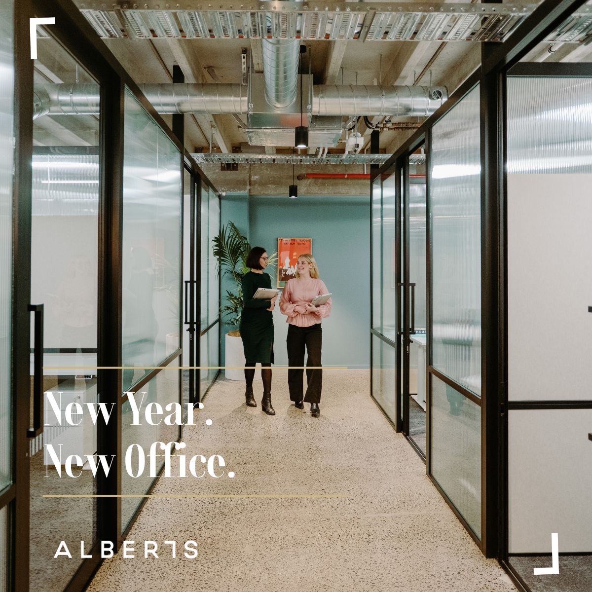 Alberts NZ ad