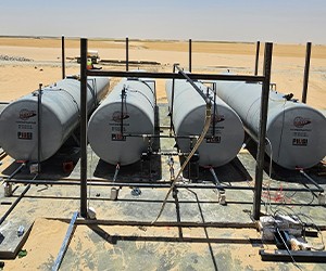 El Arabia for Services Development ad