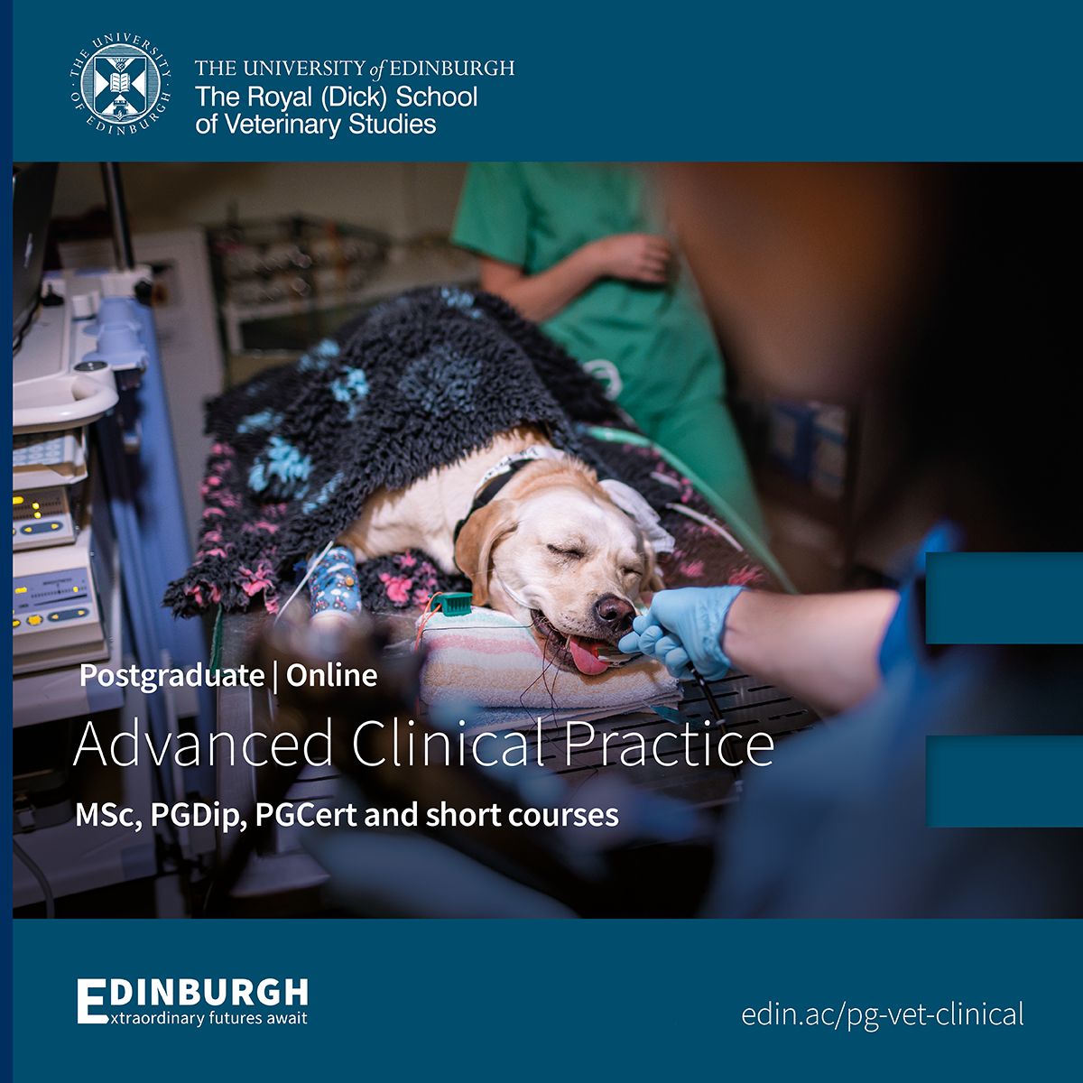 The Royal (Dick) School of Veterinary Studies ad