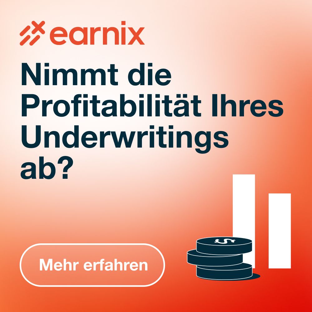 Earnix ad