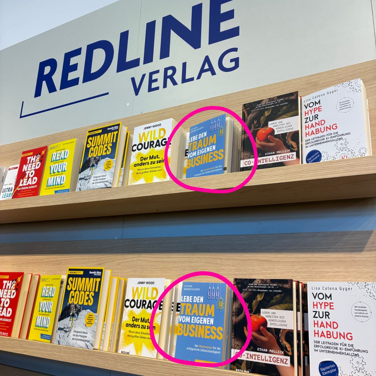 MLI Mindlead Institut • Leadership-Trainings & Führungskräfteentwicklung ad