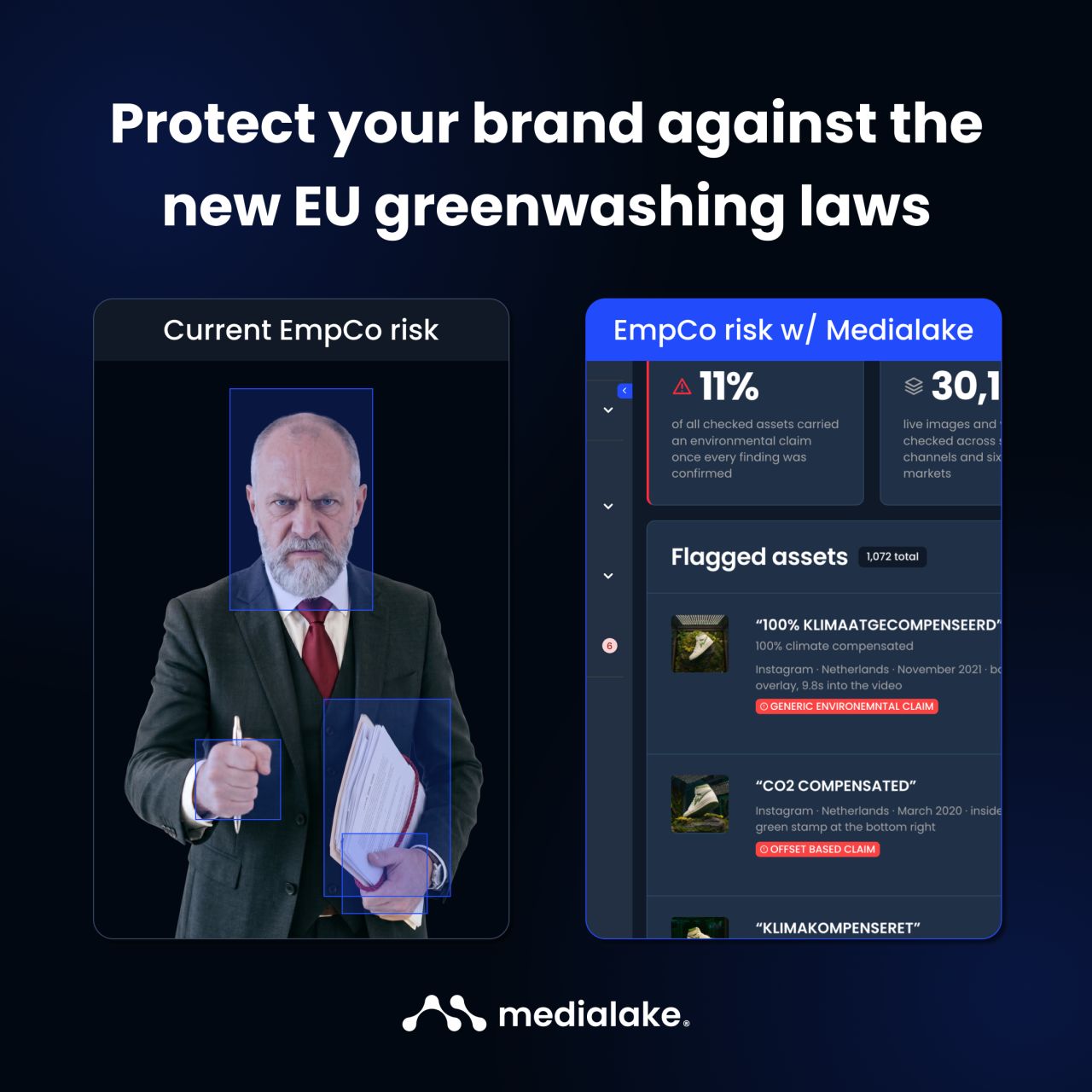 Medialake Inc ad