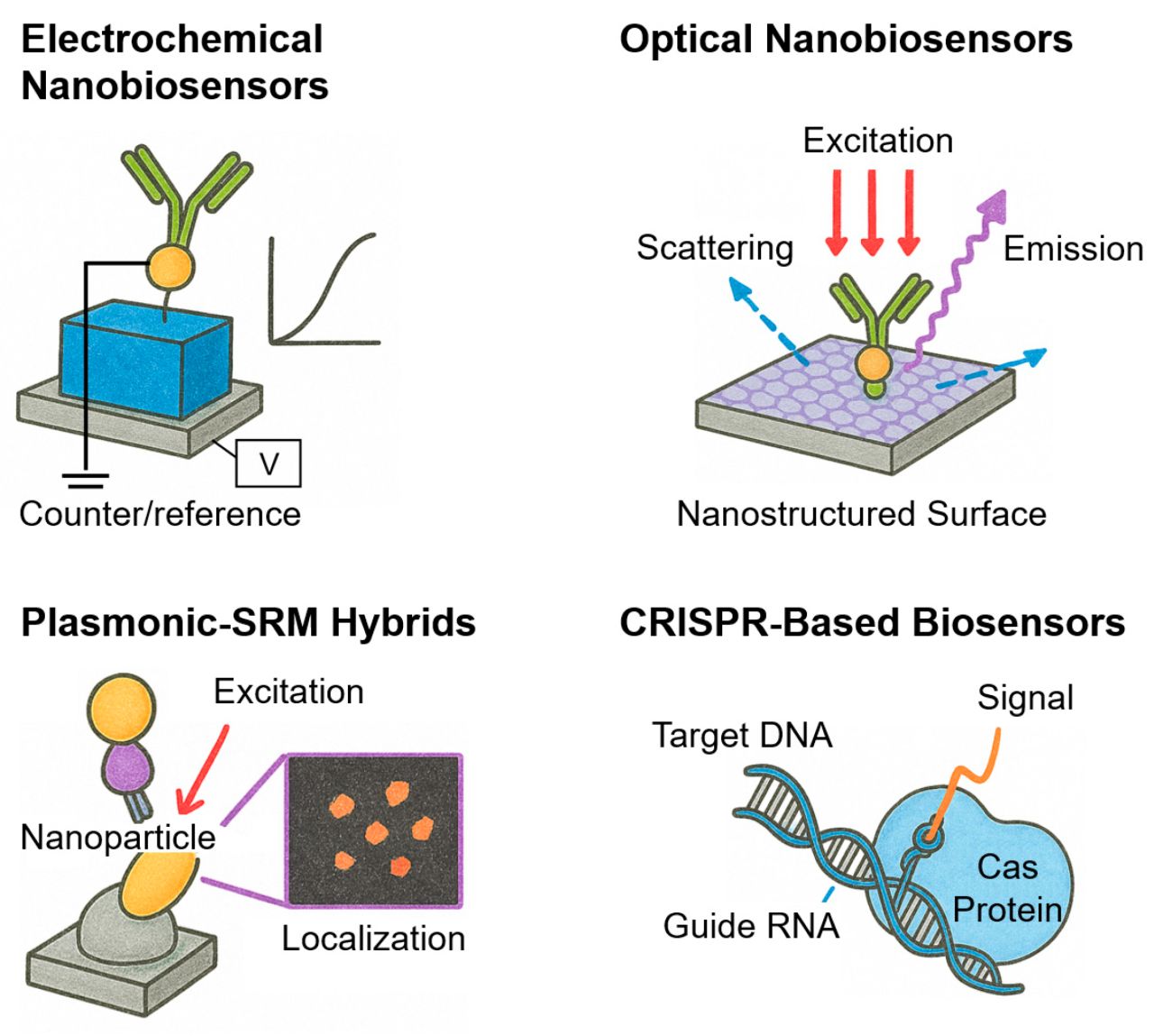 Biosensors MDPI ad