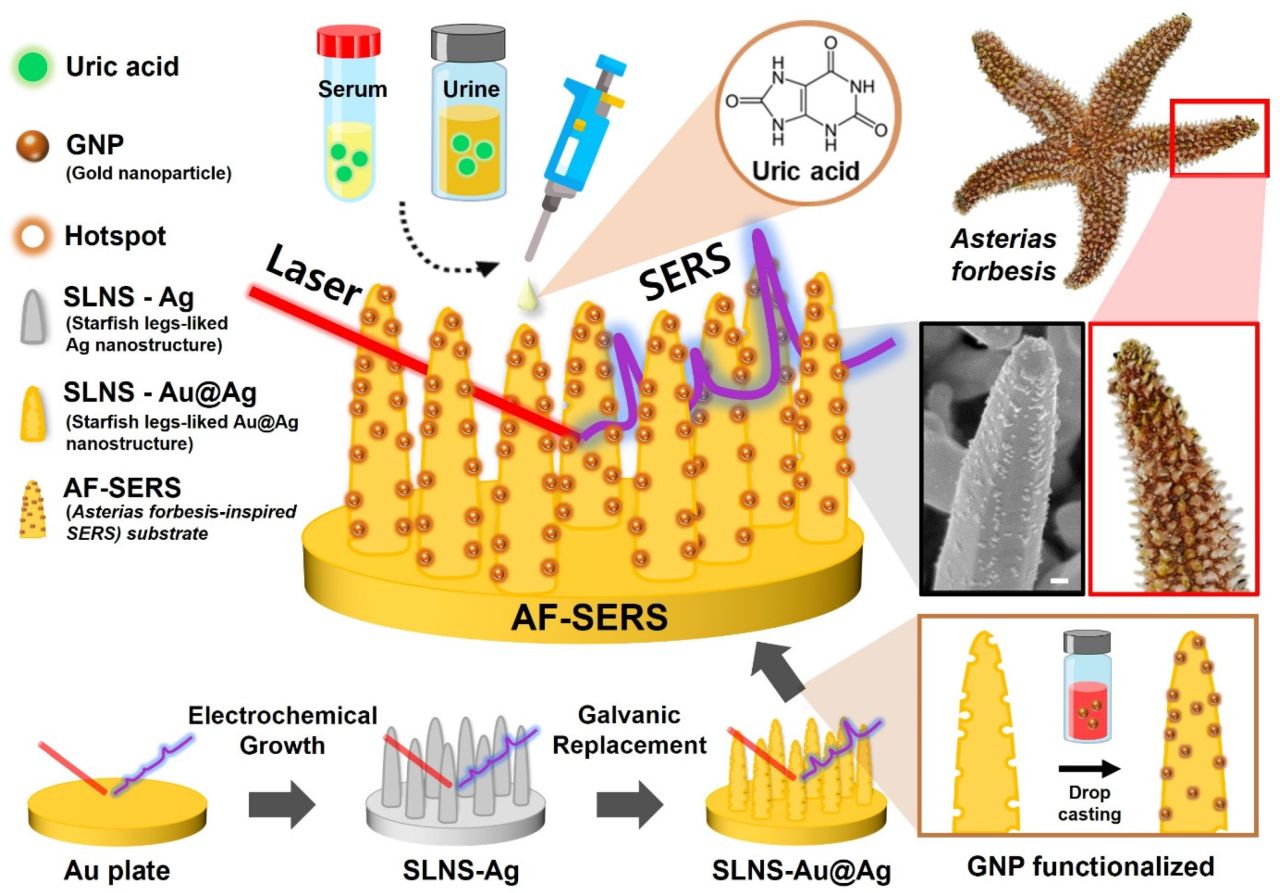 Biosensors MDPI ad