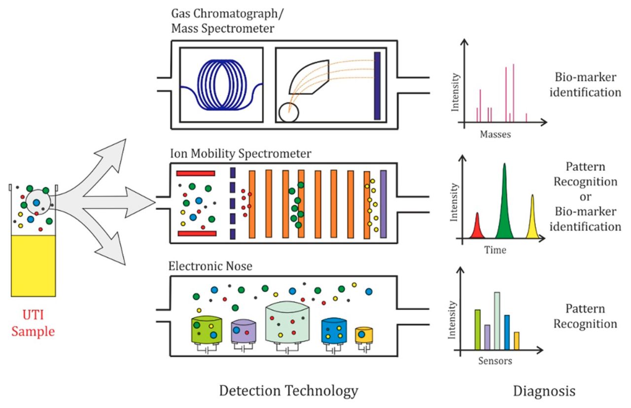 Biosensors MDPI ad