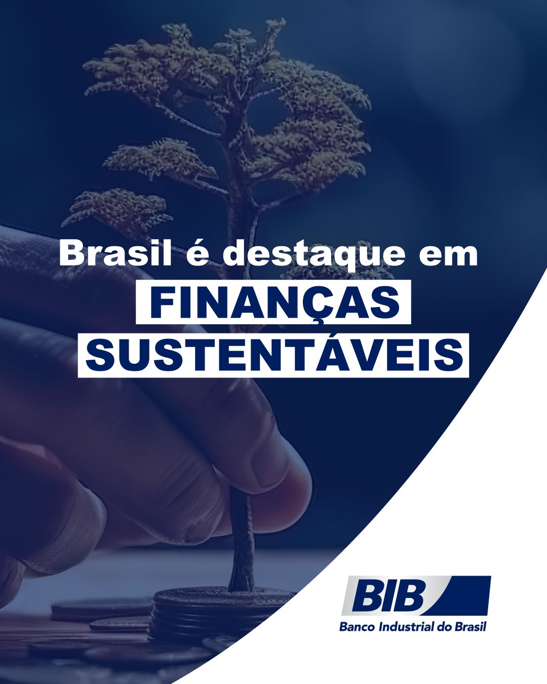 Banco Industrial do Brasil S/A ad
