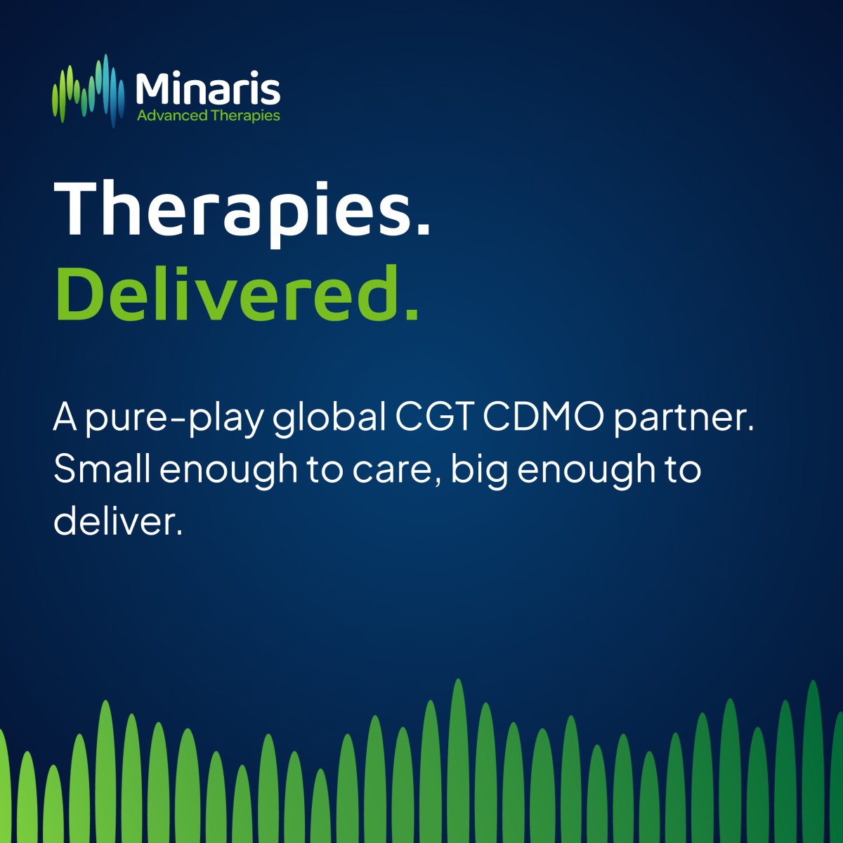 Minaris ad