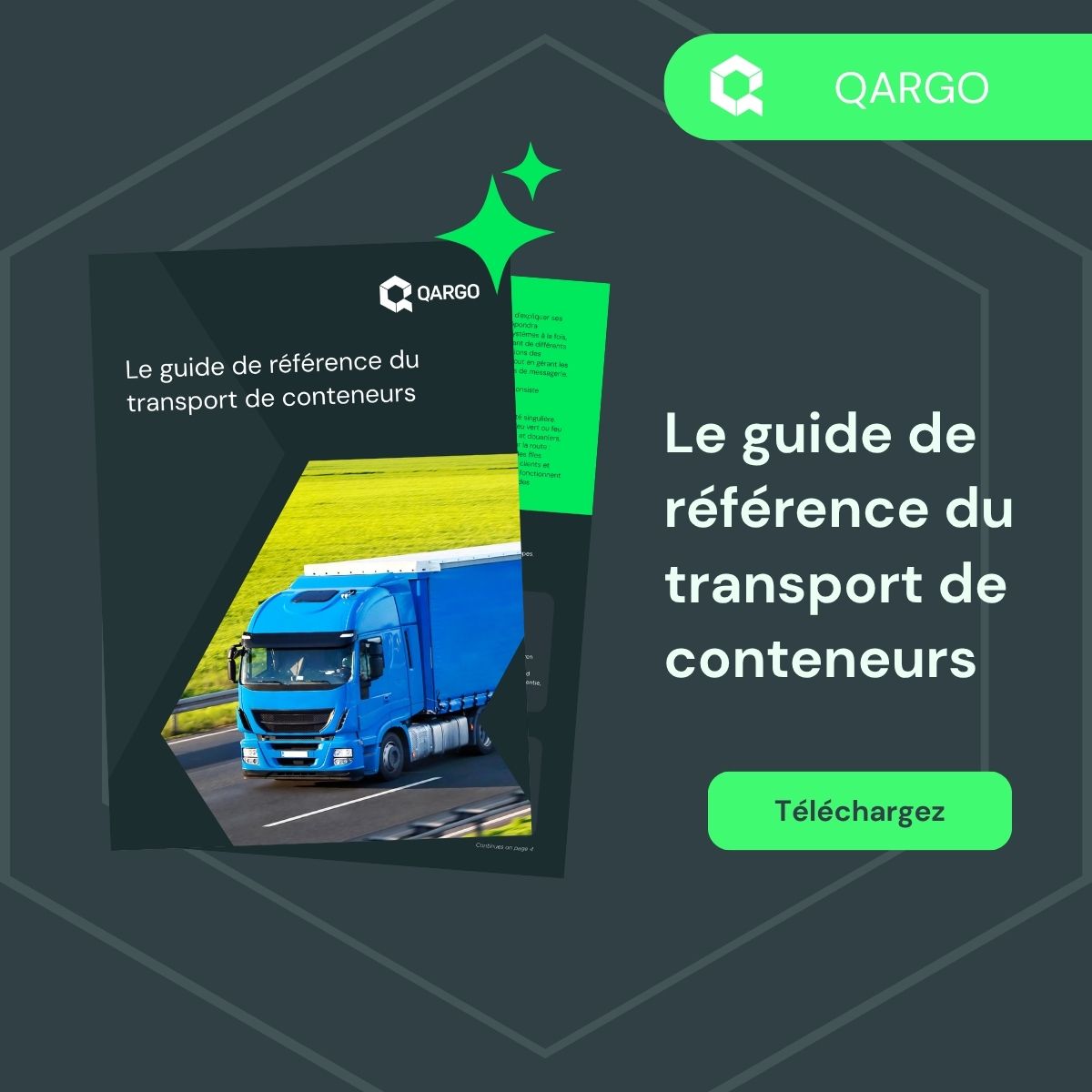 Qargo TMS ad