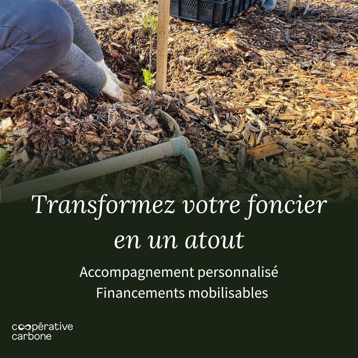 Coopérative Carbone ad