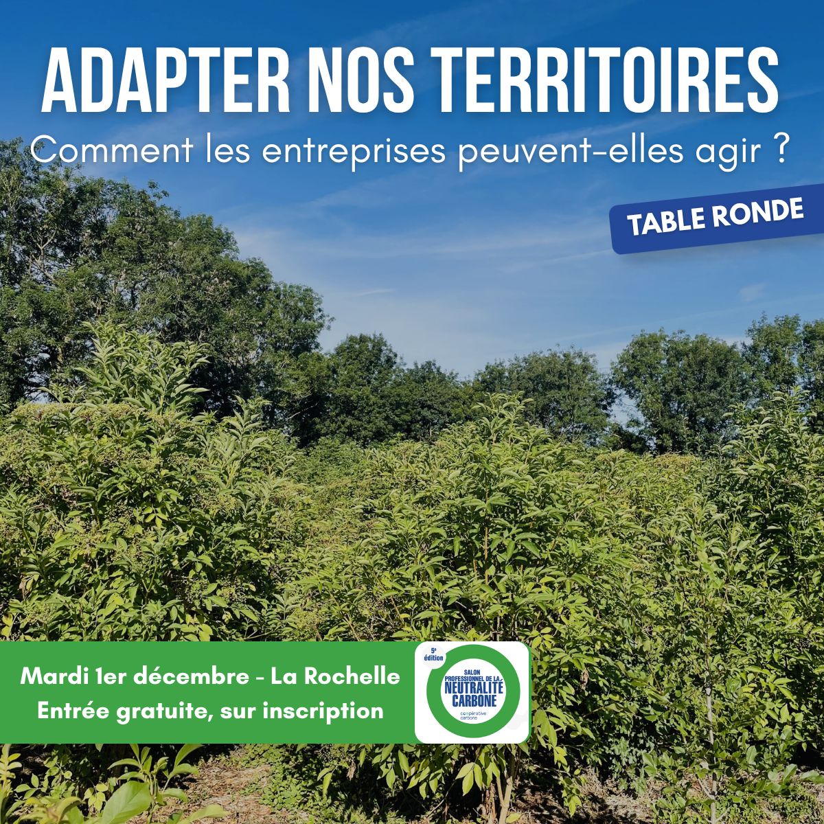 Coopérative Carbone ad