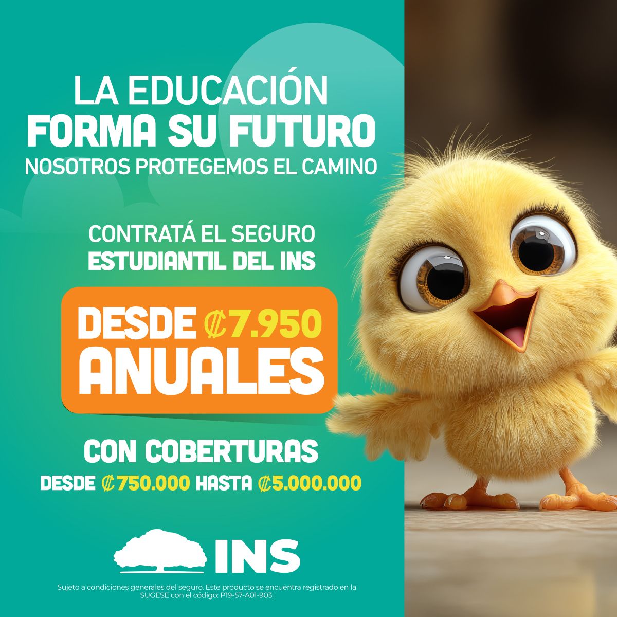 Grupo INS ad