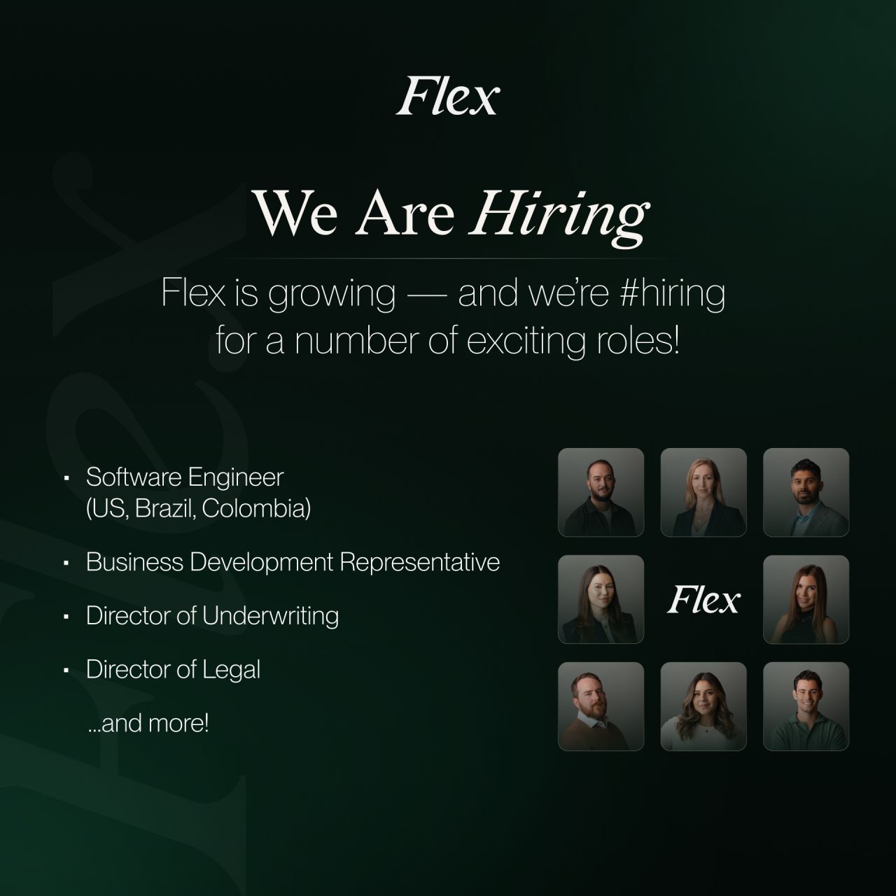 Flex ad