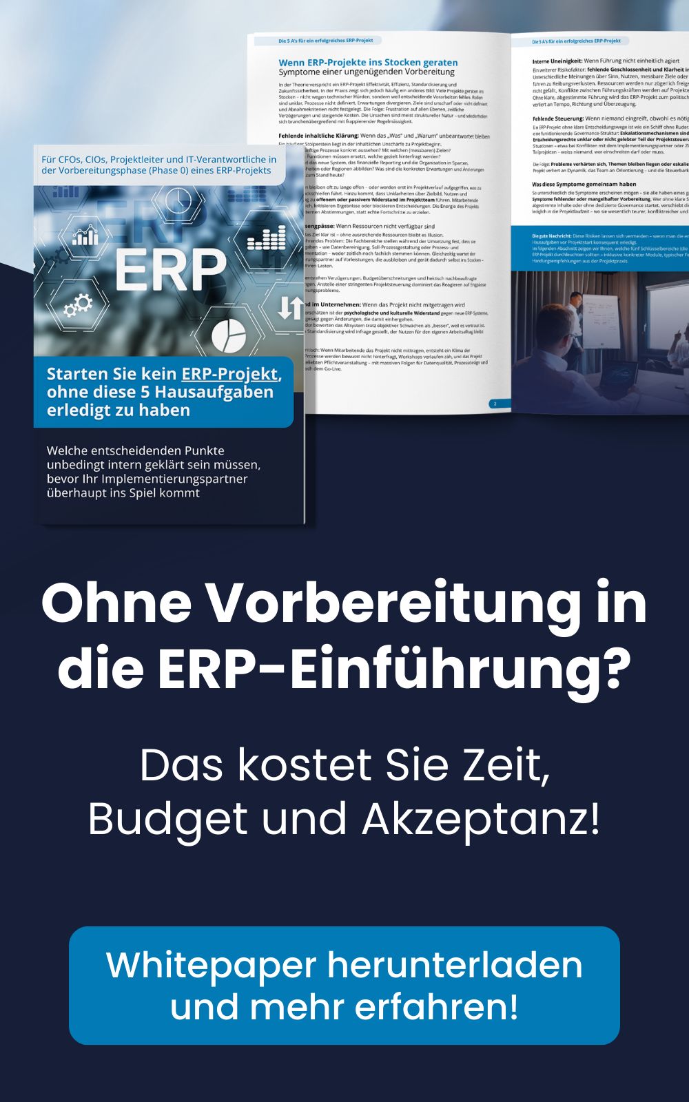 2BCS AG digitalization experts ad