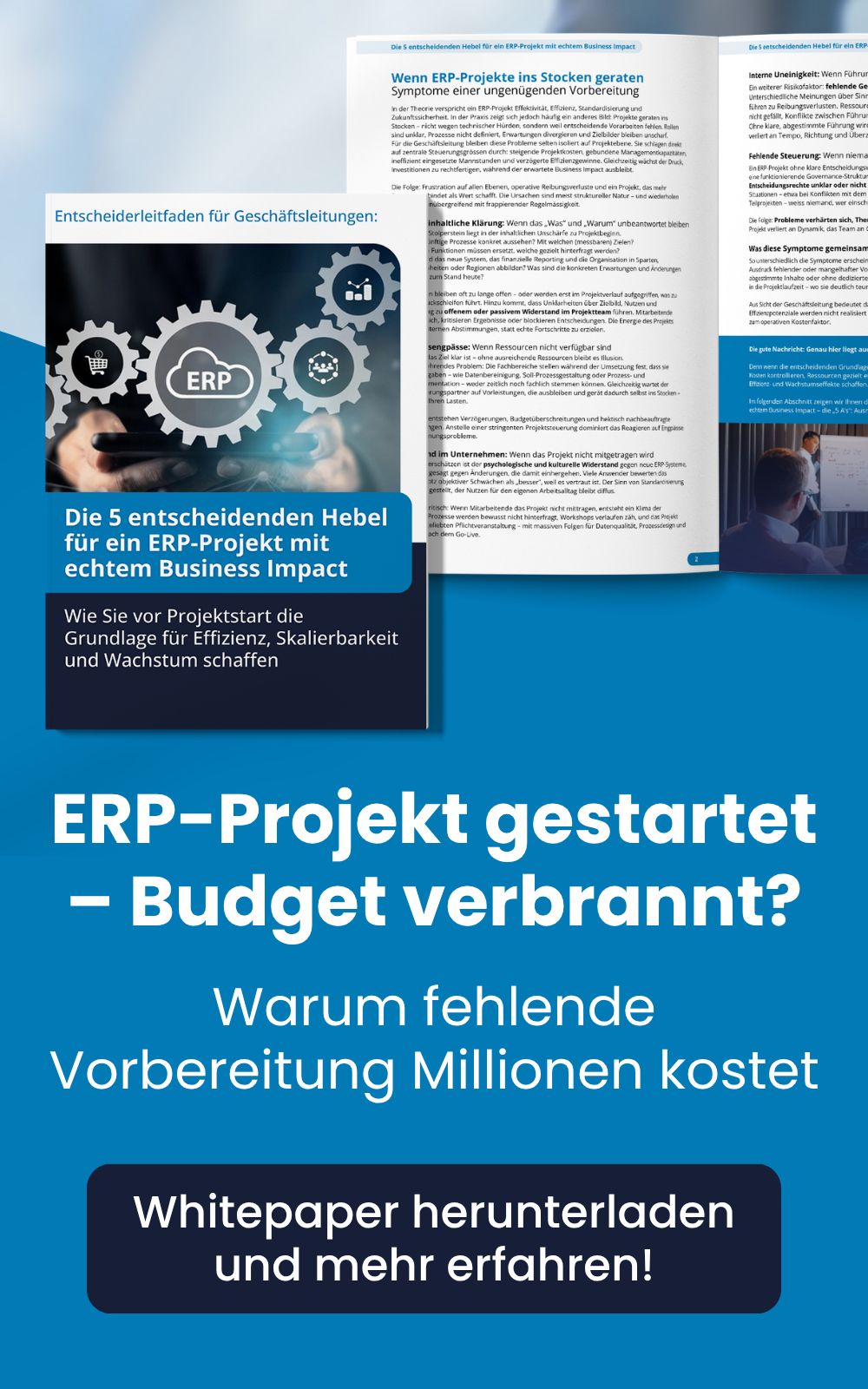 2BCS AG digitalization experts ad