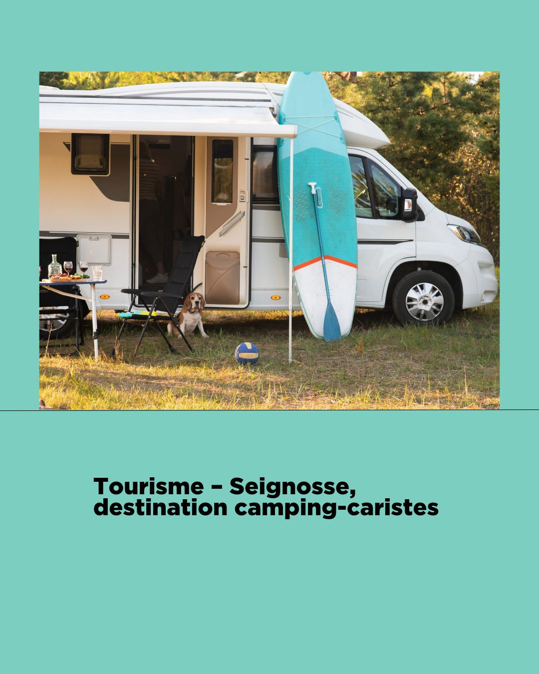 Les Annonces Landaises ad