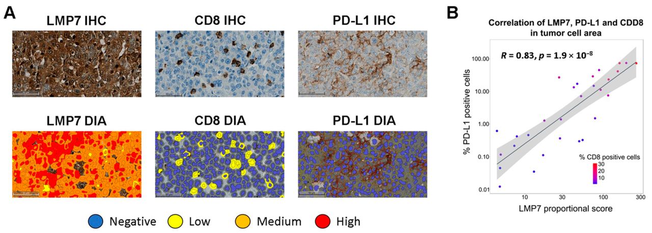 Cancers MDPI ad