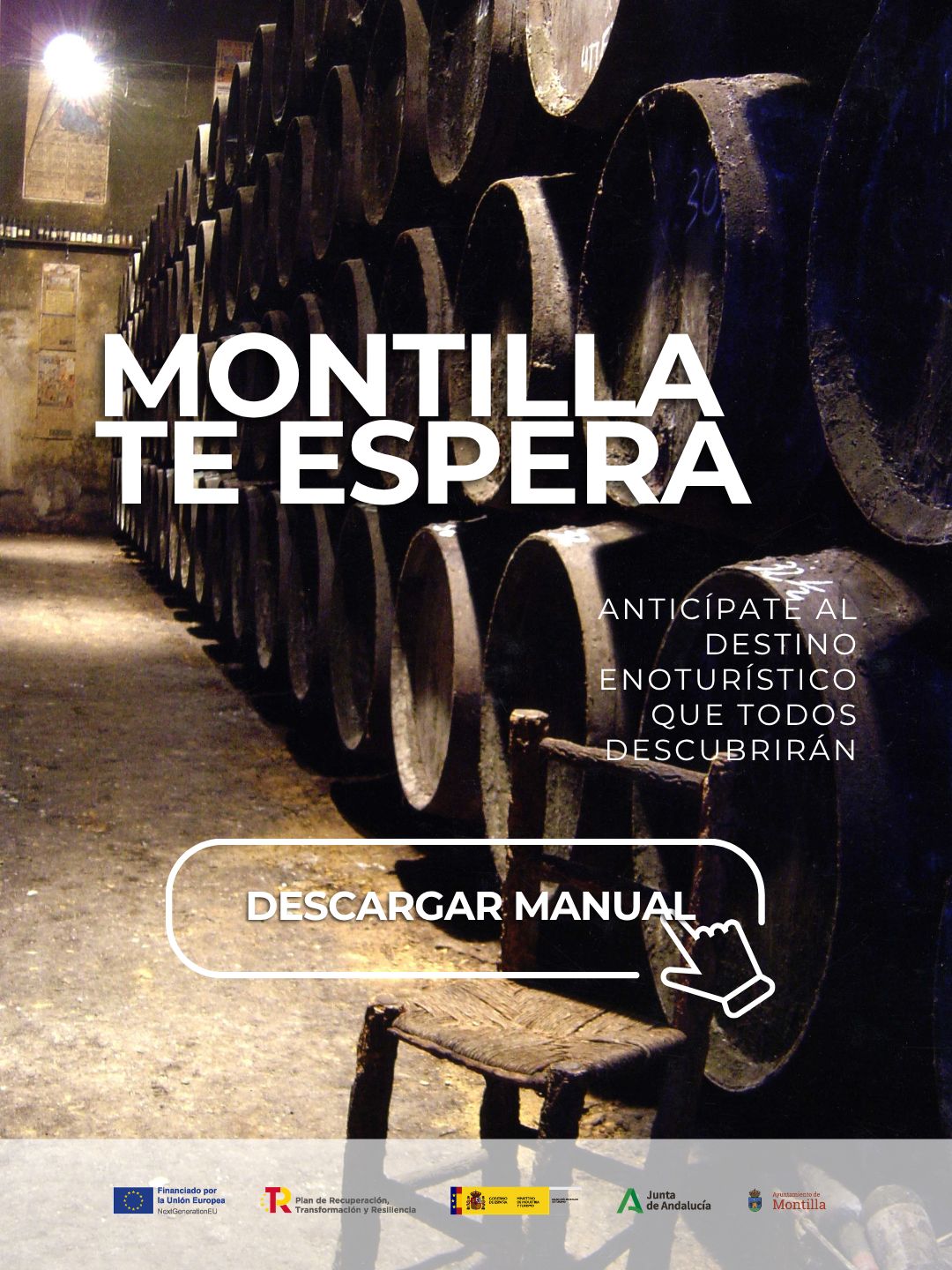 Ayuntamiento de Montilla ad