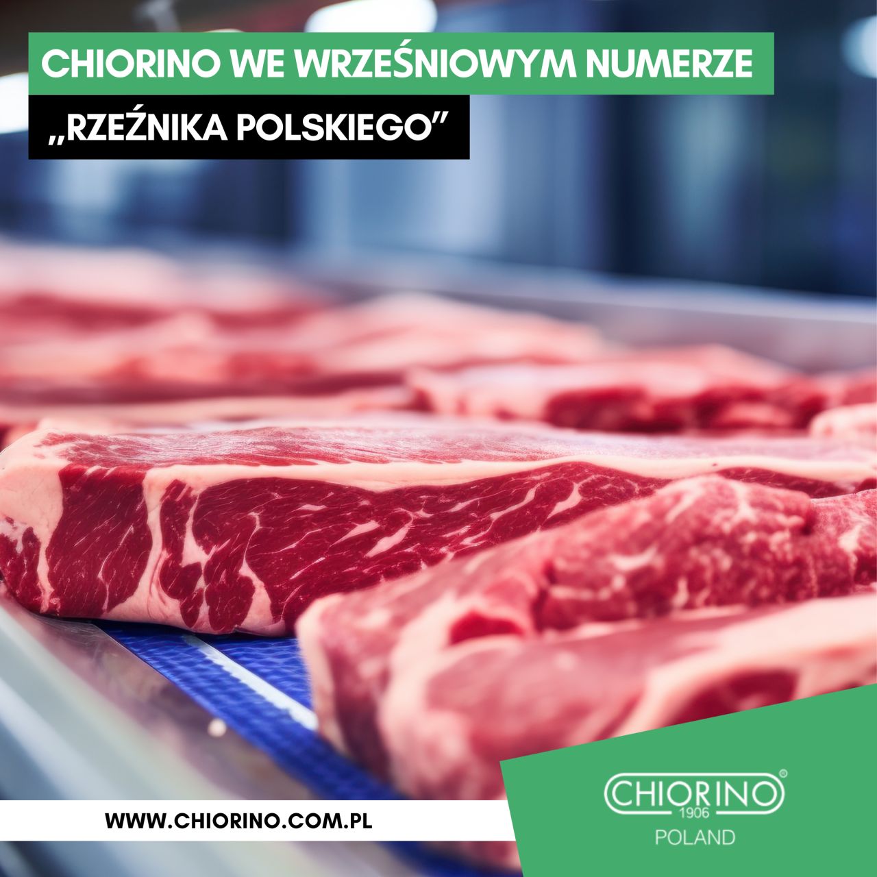Chiorino Poland ad