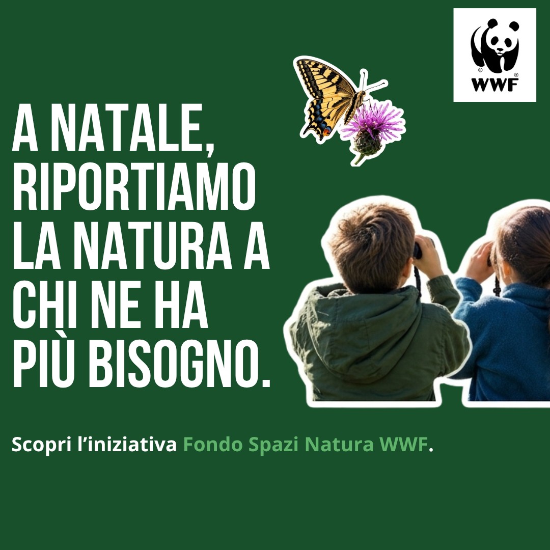 WWF ITALIA ad