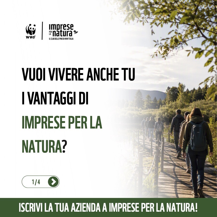 WWF ITALIA ad