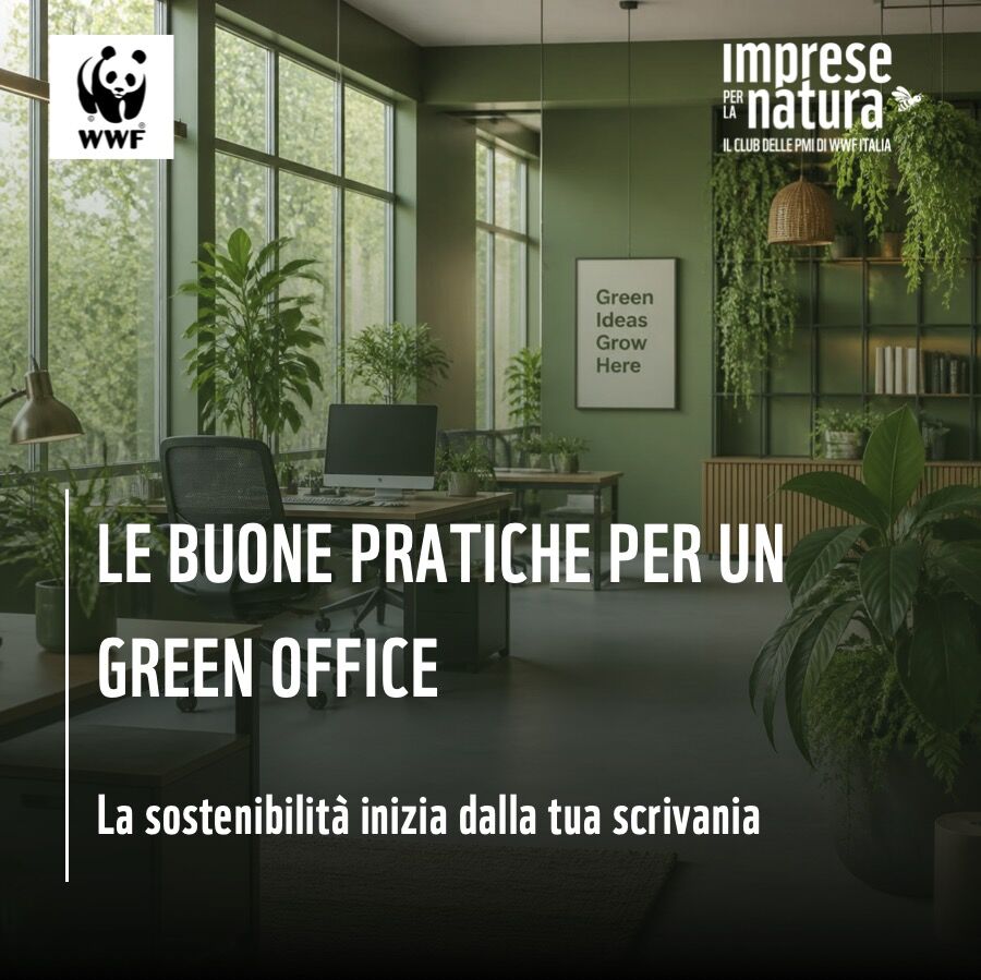 WWF ITALIA ad