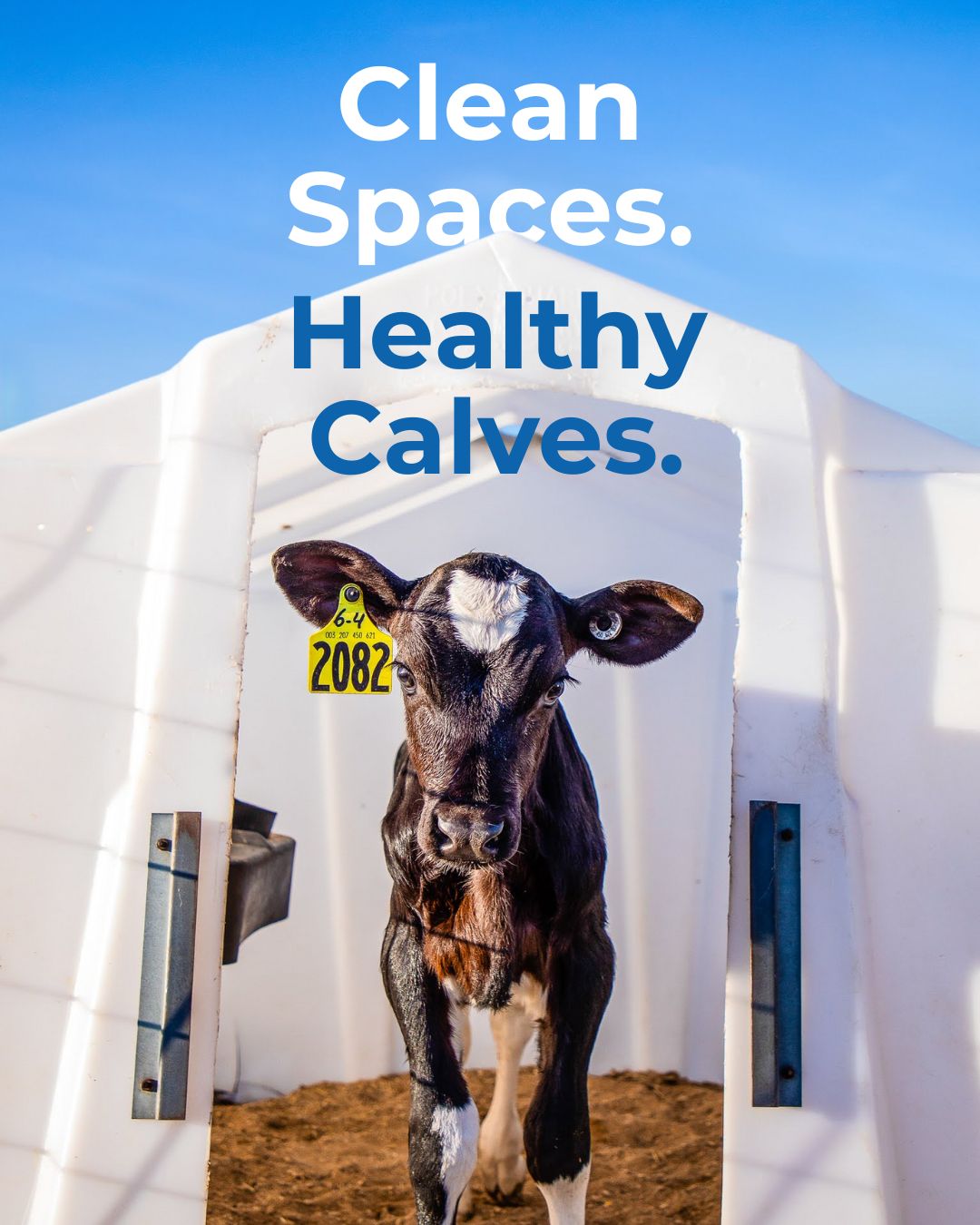 Acepsis, LLC ad