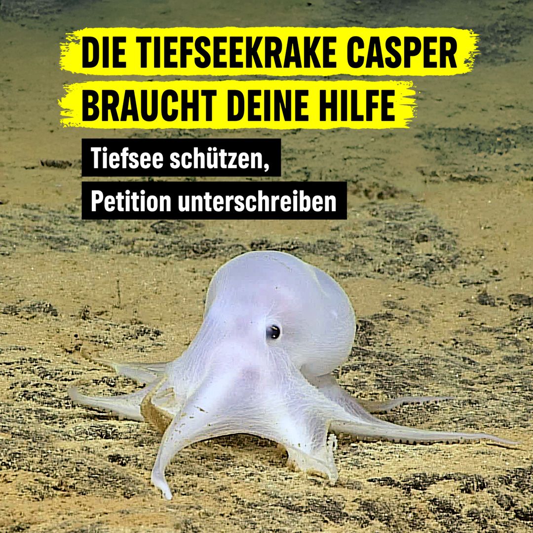 Greenpeace Deutschland ad