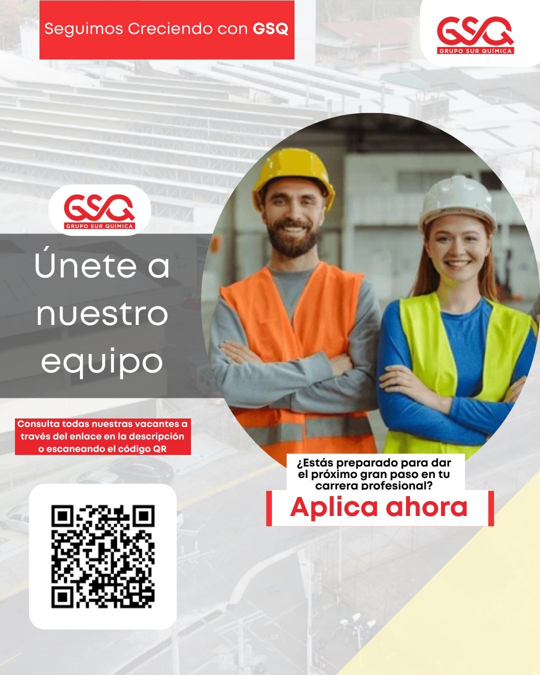 Grupo Sur Química ad