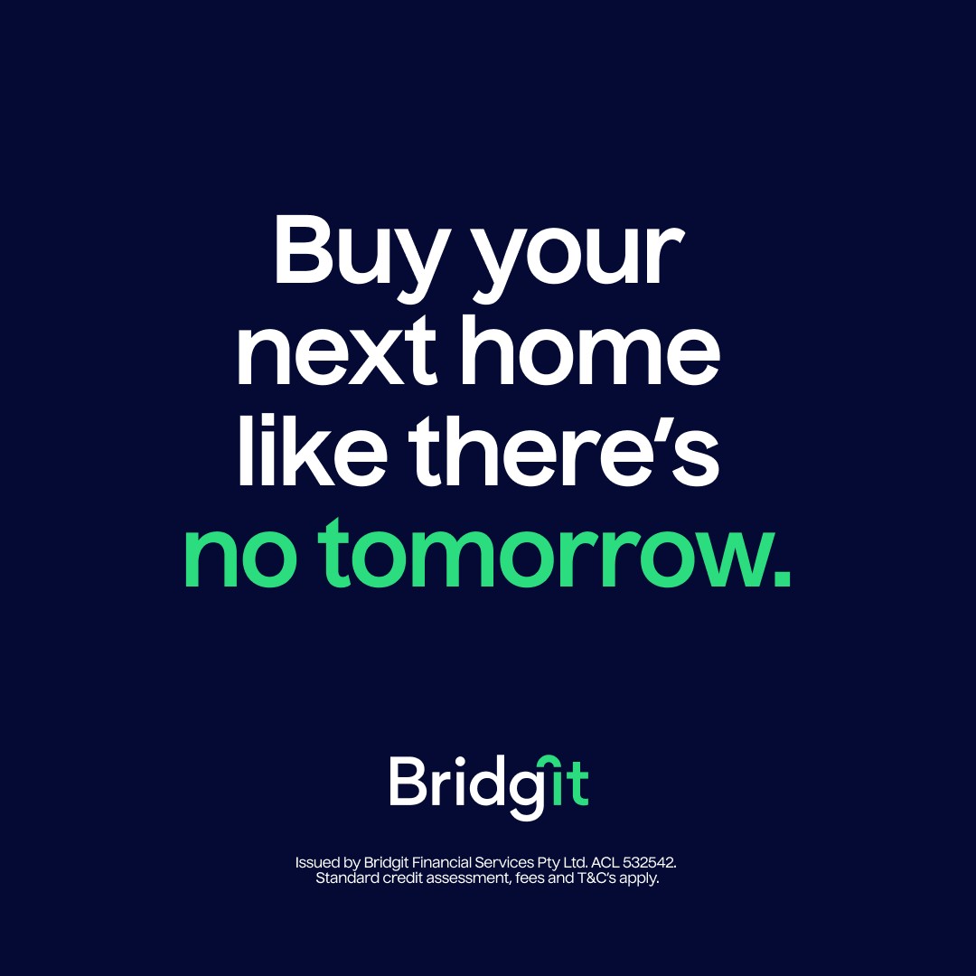 Bridgit ad